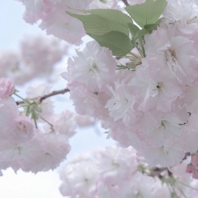 Furry手绘上色教程福瑞交流群